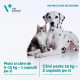 Tridigest Vet Expert – Supliment pentru Susținerea Sistemului Digestiv la Câini și Pisici – 40 Tablete